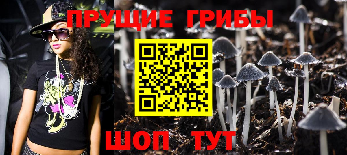 Саров  как найти   Вход с VPN  Псилоцибиновые грибы прущие грибы 