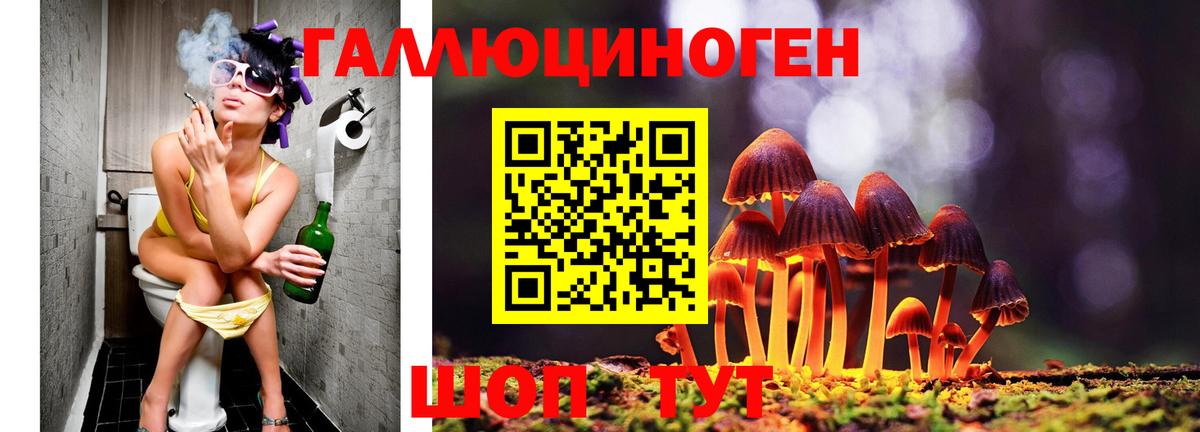 Псилоцибиновые грибы мицелий Саров